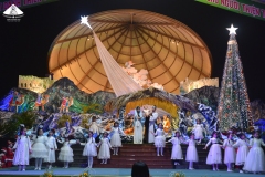 024_giangsinh_docso_25122024