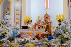 097_giangsinh_namtay_24122024