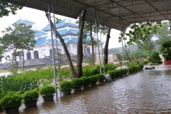 010_Lulut_TGPHue_09102020