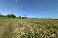 006_Viengtham_Lulut_17062025