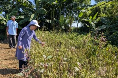 007_Viengtham_Lulut_17062025