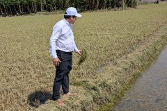 017_Viengtham_Lulut_17062025