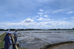 019_Viengtham_Lulut_17062025